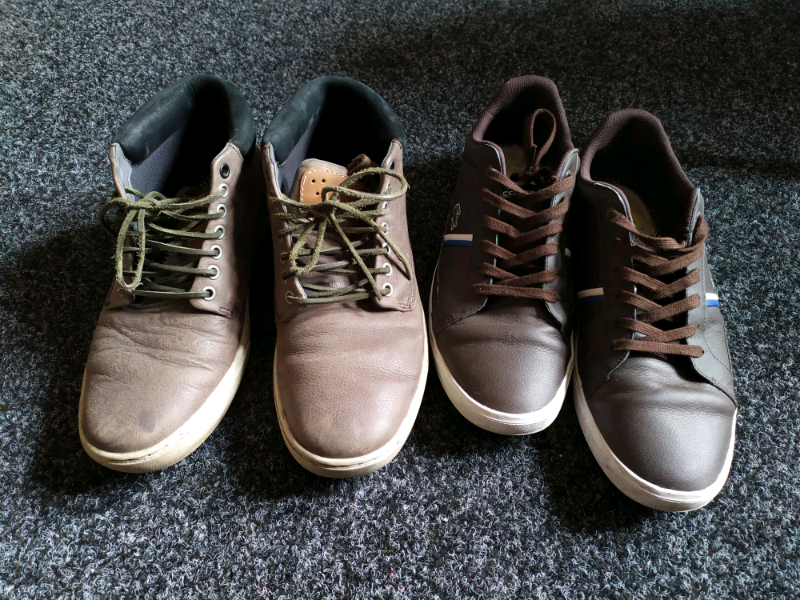 lacoste timberland